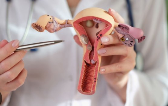 Vaginismus: Zavaajee hayaathah andhiri elhuna nudhee faruvaakurey!