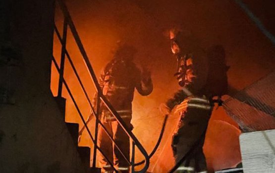 Maafannu newplaza gai anekkaa ves roavejje