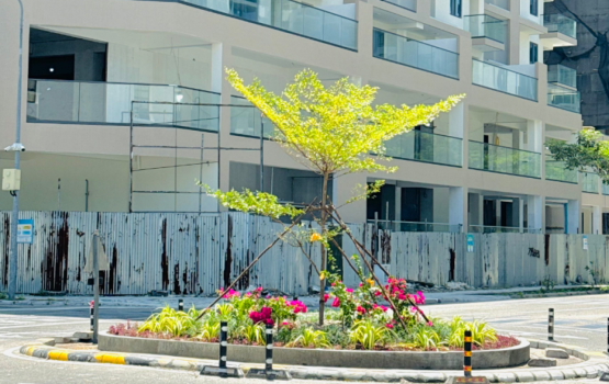 Faadukiyun amaazuvi Hulhumale Roundabout thakugai gas indhanee