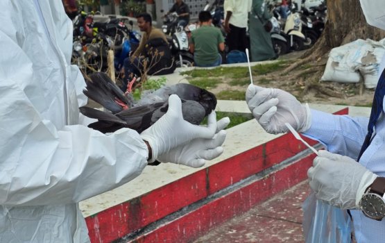 Maruvefaivaa kotharu thakeh fennaathee ekan balanee