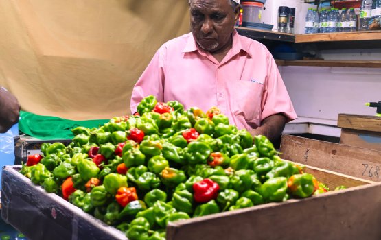 Agubodu Kandoodhoo miruhuge kulhikan mihaaru 