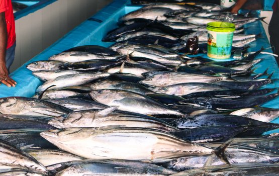 Mifco in kalhubila mas kilo eh ganna agu 18.50 ah bodu koffi 