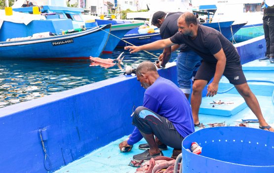 Masverinnah tuna race gai baiverivumuge furusathu hulhuvaalaifi