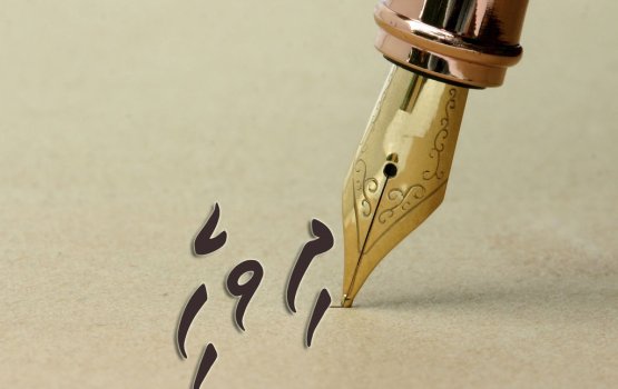 Bahaa behey bahuseh: Dhivehi bas mussandhitha? fageerutha? 