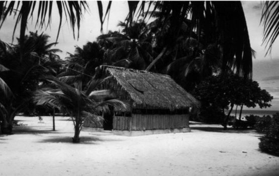 HISTORY: Pyrad ge dhuvasvaru dhivehi zuvaanun beynunkuri social media 