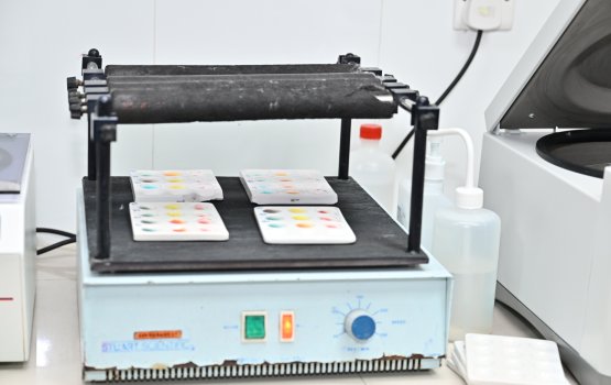 Leygai hunna virus thah dheneganna Nucleic Acid Testing Raajjeygai fashaifi