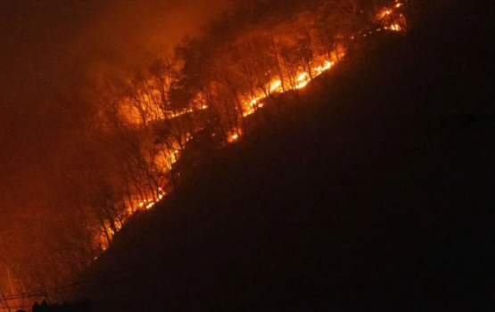 Dhekunu Korea gai fethuremundha alifaangandugai 18 meehun maruvejje