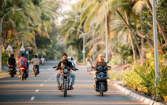 Fen plant ah massala eh dhimaa ve, mulhi fuvahmulakun fen kendijje