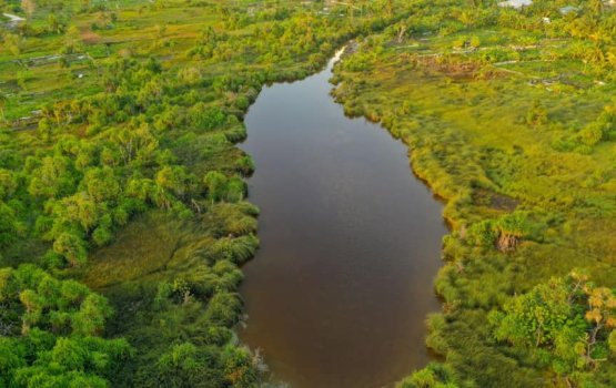 Addu gai fenunu bidheyseege marugai shakku kurevey kameh nei: Fuluhun