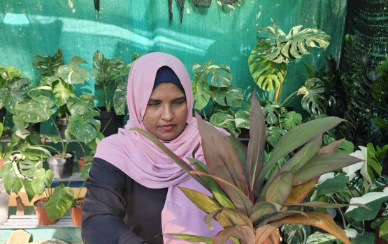 Shamla: Dhan'duverikamuge hunaru huri laamaseelu misaaleh!