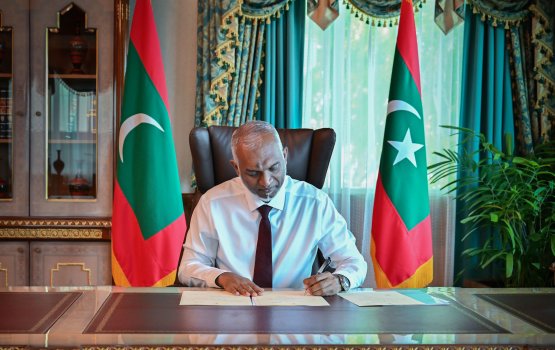 Council thakun dhekolhu hadhanikoh baaruthah hanivaa islaahu thasdheegu kohfi