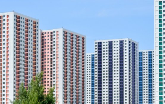 Bidheyseen nah kuyyah dheefaivaa social housing ge flat thah athulaane kamuge inzaaru dheefi