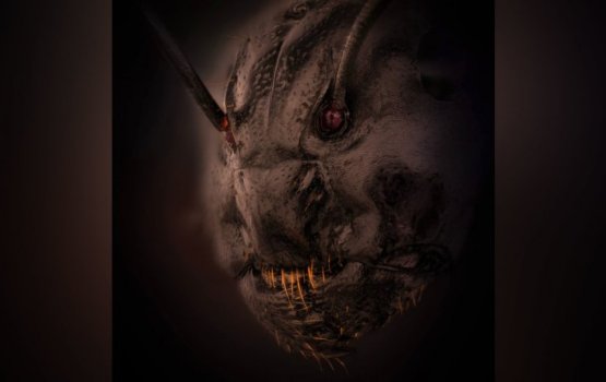 Mi'ee biruveri film ehge manzareh noon, hinyehge moonu!