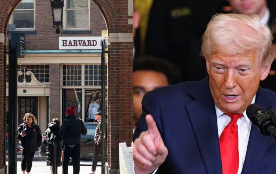 Harvard University in trump ge sarukaaraa dhekolhah dhauva koffi