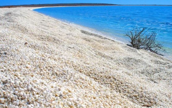 Mi'ee veleege gondu dhosheh noon, boleege gon'du dhosheh!