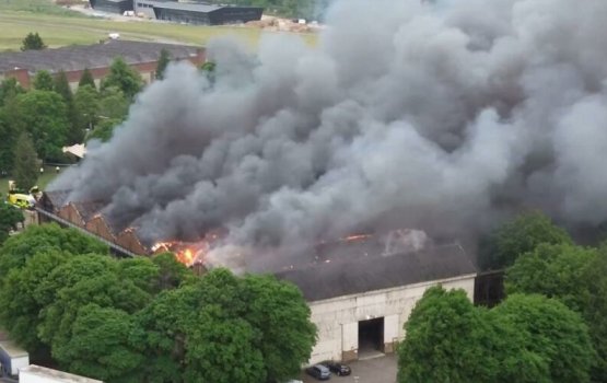 UK ge aasaaree sarahahdhehgai bodu alifaanuge haadhise ah hingaifi