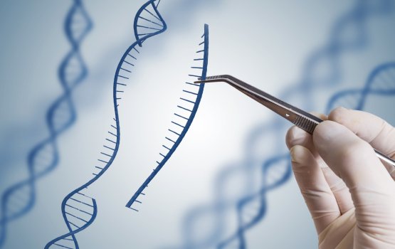 Dhuniyeygai furathama faharah gene edit ko meehegge furaana salaamai koffi