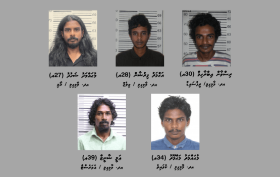 Maamigilin masthuvaa thaketheege bodu network eh athulaigenfi