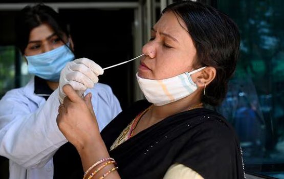 India gai haluvi kamaa eku Covid fethurenee, 24 gadi iru thereygai 4 maru!