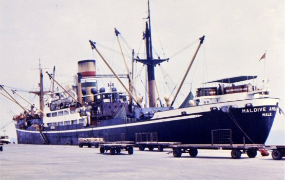 HISTORY: Sarahahdhuge muhinmu baarehge gothugai oiy dhiehi dhipping line uvi dhiyaee kihineiy?