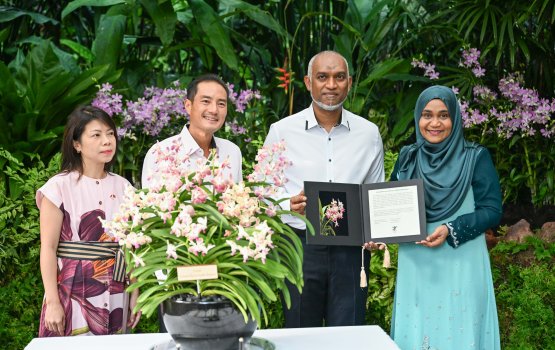 Raees ge dhekanbalun ge namah nisbaiy koh Singapore gai orchid gahakah nan dheefi