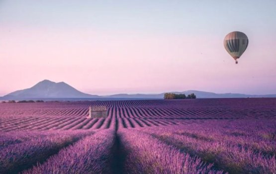 Mi vaadhee in hithah genesdhenee hiyyhama jehumaai finikan!