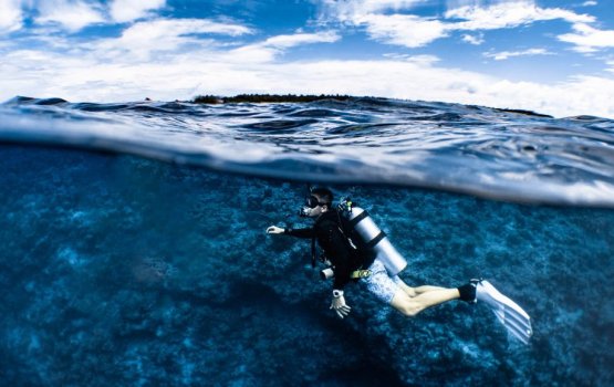 Feenan feybi fathuruveriaku maru vejje