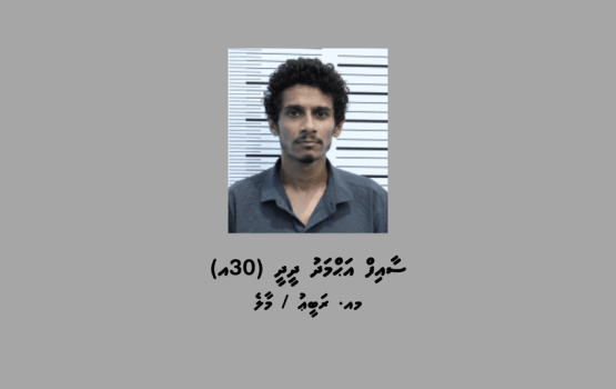 Scam ge massala thakeggai himeney meehaku aanmunge eheetherikamaa eku hoadhaifi