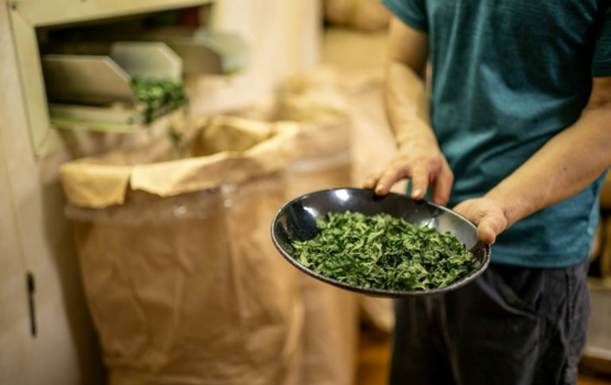 Matcha ah bodu  bodu samaalu kameh, Japan ah load buduvejje