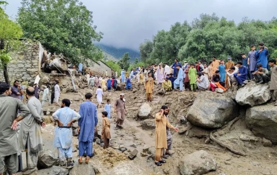 Pakistan gai fenboduve 194 meehun maruvejje