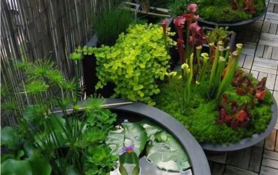 Belcony gai fenuge bageechaa eh hedhdhumakee faseyha kamei!