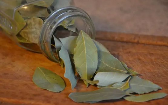 Kurafeege undhagulun ge aai badhige salaamaiy kuraane faseyha gotheh!