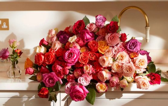 Finifen maluge kula thakun bunedhenee kon vaahaka thakeh?