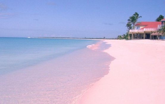 Bahamas gai fiyaathoshi gon'du dhosheh, sirrakee kobaa?