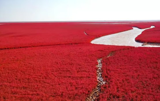 Gudhurathuge furihama kan dhahkaidhey China ge raiy gondu dhoh!