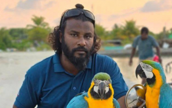 Germany gai ehcheh govai haalu dheravi meehaku maruvejje