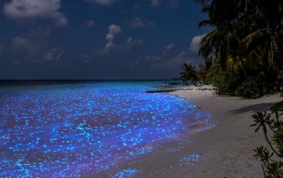 Redhan lun: Hama ekani raajje ah haassa kameh noon!