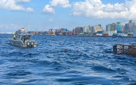 Aflaah thaashi vee haimaakaai kolhuvetti aa dheytherey, foolhun thiri vanee chis vefai!