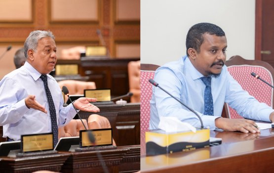 Budget committee ge mugarrirakah Saleem, Naibu akah Fazaad