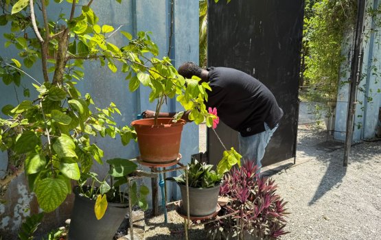 Fuvahmulaku fenaai gulhey kuhli massala PNC in beyrukohlaifi