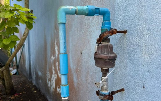 Fenaka in bunee Fuvamulaku ge massala hallu vejje kamah, ekamaku huree seal alhuvaafi!