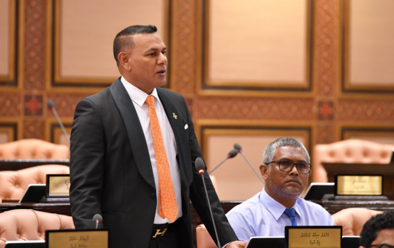 Dhaulath ge haradhu 40 percent kudakuran jehey: Siyam