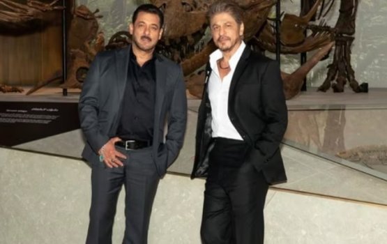 Salman aai Shahrukh Khan mi ulhenee kon thanehgai?