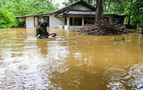 Thoofaanugai Lanka in maruvi meehunge adhadhu 300 in mahchah