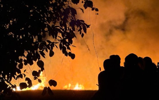 Fuvahmulah chas bin sarahahdhu gai roave andhanee