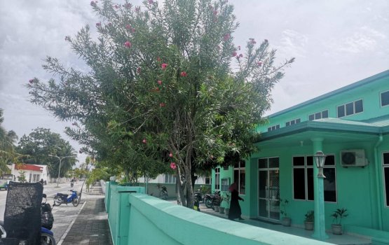 Kulhudhuffuhtah drug etherekuran ulhunu meehaku umurah jalah laan hukumeh