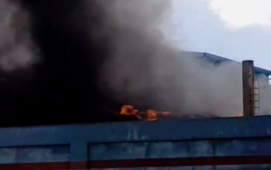 Gamu injeenugeygai roave mulhi rashun karantu kendijje