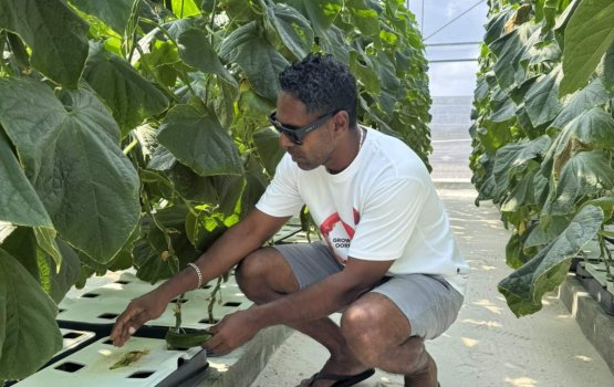 PEOPLE: Zamanee dhanduverikan koh Ramzee midhinee zuvaanunnah Aa filaavalhei!