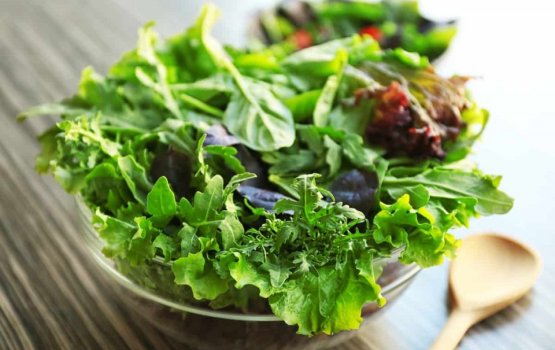 Fehikan gadha faiypilaa velin sihhathah gina faidhaa thakeh!