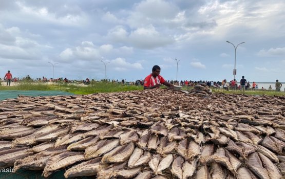 Mahuge baavaiythakuge ufehdhun thah ithuru kurumah financing scheme eh tha'aaraf koffi